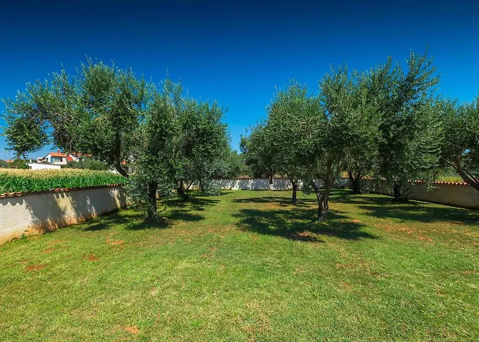 Pomer Holiday home *