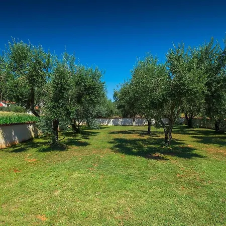 Pomer Holiday home *
